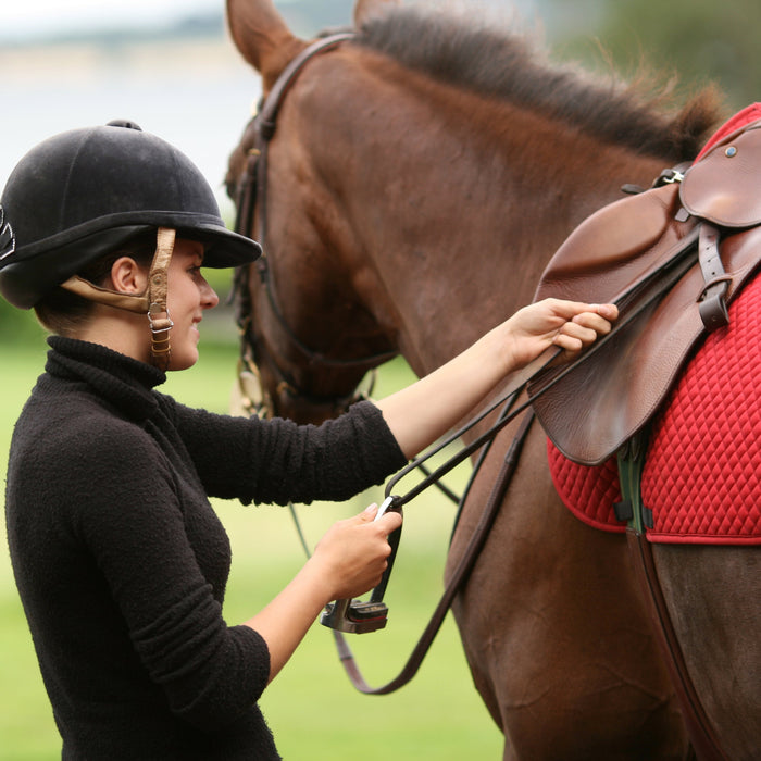 How to Buy a Second Hand Saddle: Complete Guide