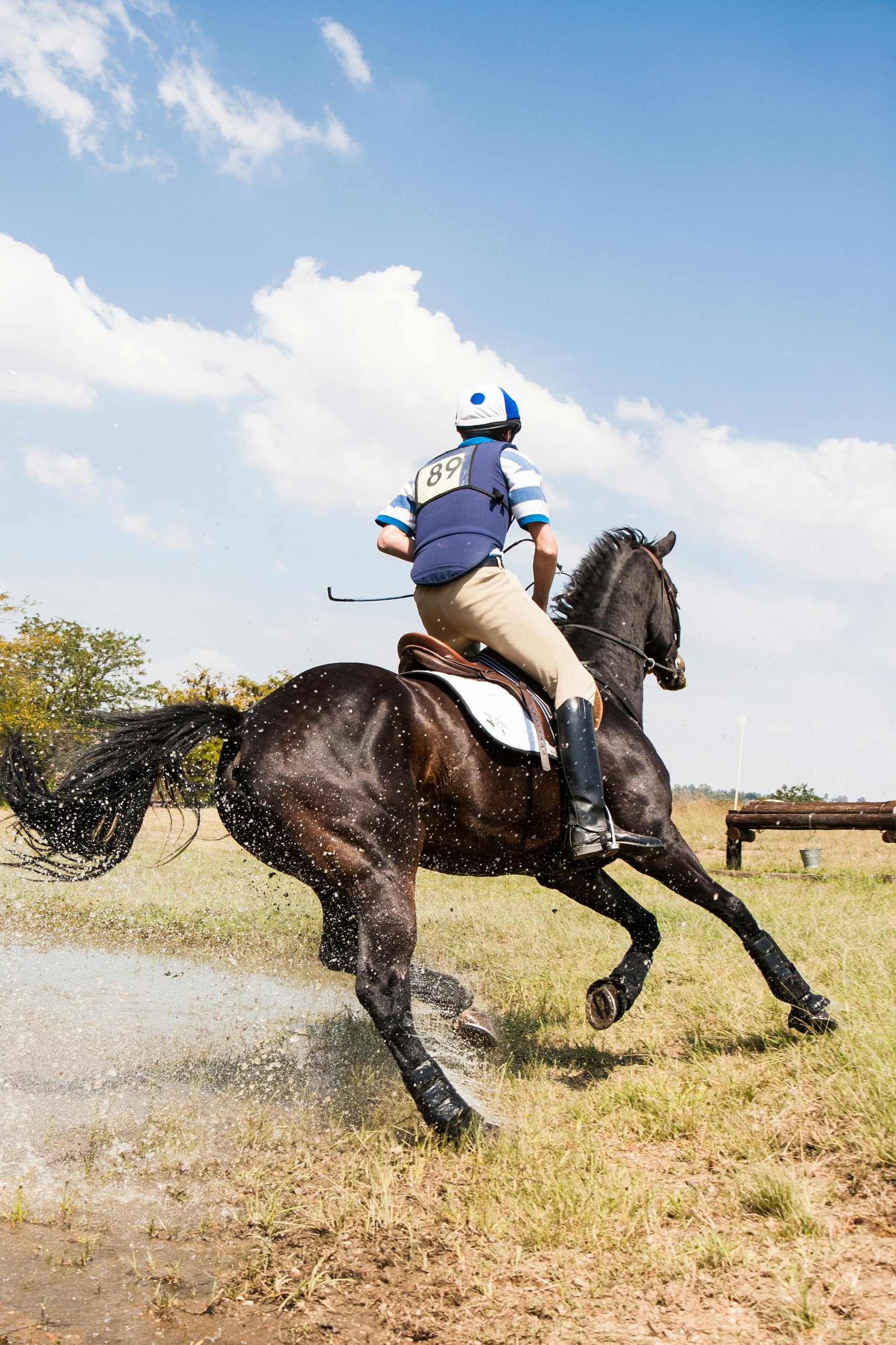 Should You Book an Online Saddle Fitting Consultation?