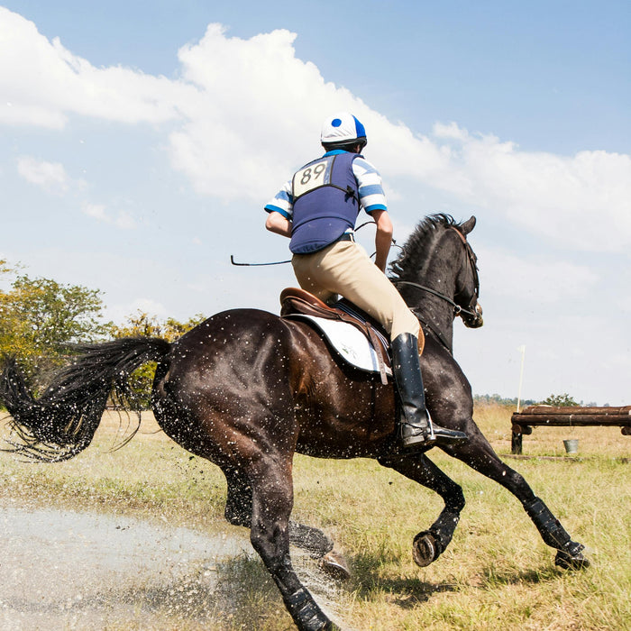 Should You Book an Online Saddle Fitting Consultation?