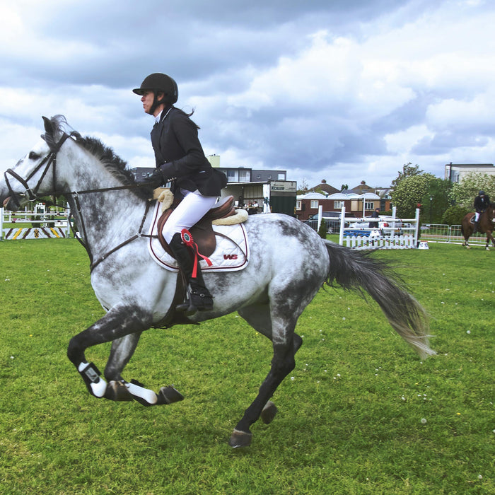 Saddle Pads, Half Pads & Saddle Fit: What You Need to Know