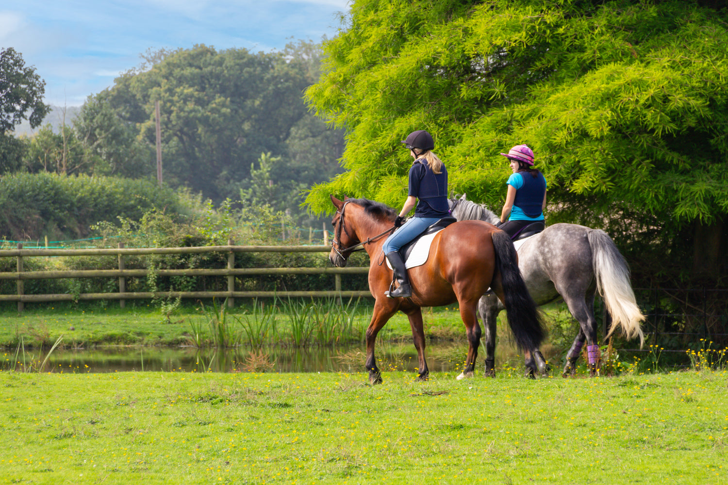Experience Our 5-Day Saddle Trial